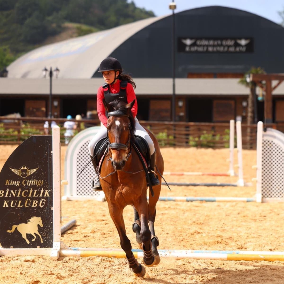Profesyonel atlı engel parkuru